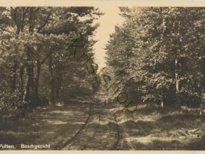 Putten - Boschgezicht [001-4814