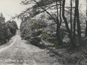Holten - Rijwielpad op de Holterberg [001-4817