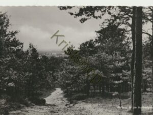 Holten - In de Holterberg [001-4822