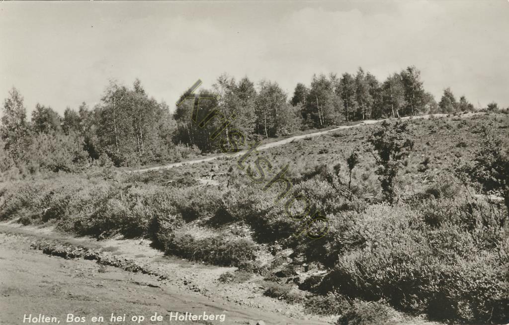 KRST001-4823_0.jpg Holten - Bos en hei op de Holterberg [001-4823