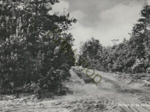 Holten - In de Holterberg [001-4824