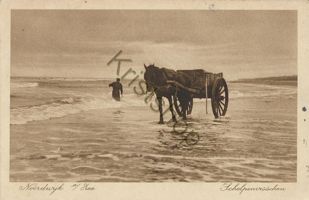 KRST001-4826_0.jpg Noordwijk aan Zee - Schelpenvisser [001-4826