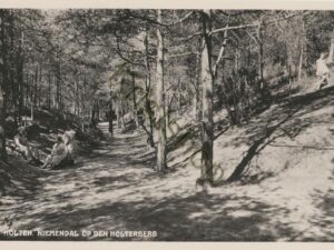 Holten - Niemandal op den Holterberg [001-4859