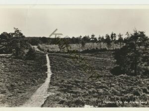 Holten - Op de Holterberg [001-4862