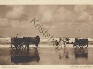 Scheveningen - Schelpenvisser [001-4863