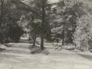 Holterberg - Niemandal [001-4868