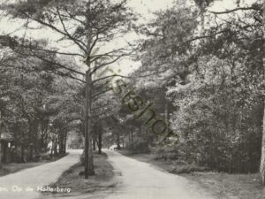 Holten - Op de Holterberg [001-4871