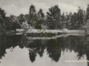 Holten - Meertje bij Friezenberg [001-4893