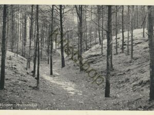 Holten - Niemandal [001-4896