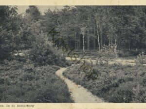 Holten - In de Holterberg [001-4897