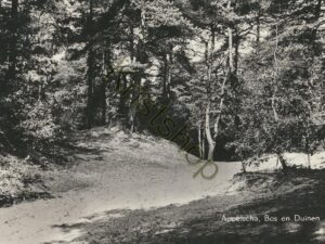 Appelscha - Bos en Duin [001-4925