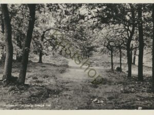 Holten - Holterberg - Diepe Hel [001-4961