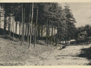 Holten - Op de Holterberg [001-4963