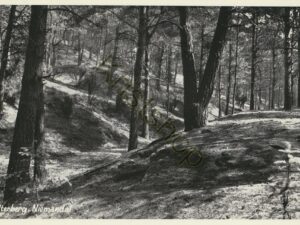 Holterberg - Niemandal [001-4964