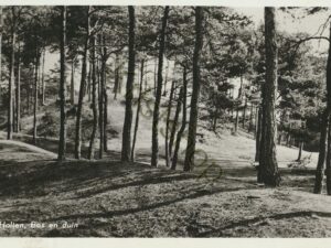 Holten - Bos en duin [001-4972
