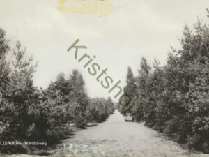 Holterberg -Wandelweg - Berghotel De Dieken [001-4991
