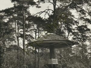 Driebergen - Paddestoel [001-5001