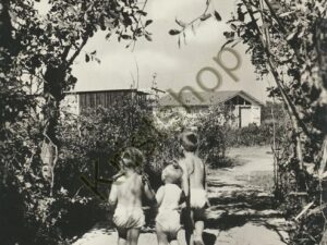 Ouddorp - Kampeercentrum Prinsenhof [001-5040