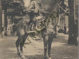 Leiden - Maskeradeoptocht [001-5060