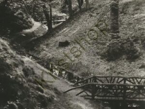 Oosterbeek - Zwitsersche partij Mariändaal [001-5063