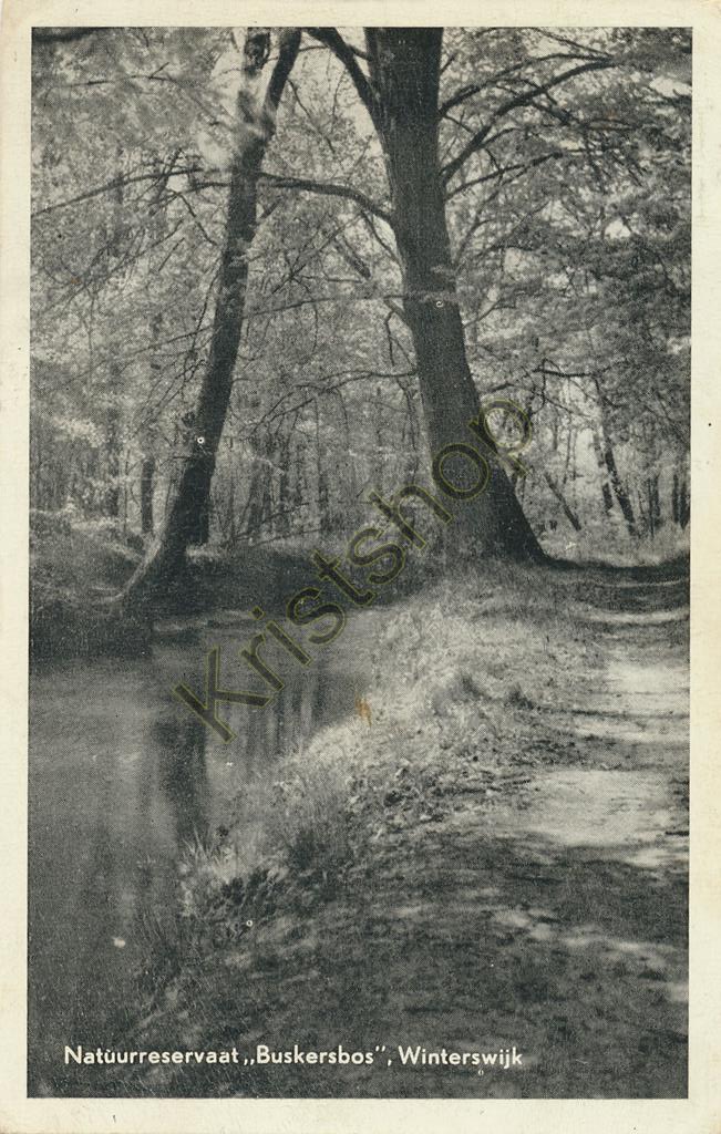 KRST001-5075_0.jpg Winterswijk - Natuurreservaat Buskersbos [001-5075