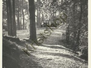 ??? Holten ??? [001-5092