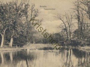 Brielle - Zwanenvijver [001-5306