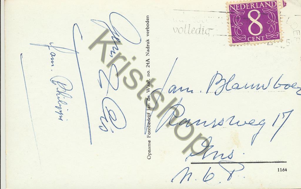 KRST001-5418_1.jpg Texel - Kluut in karakteristieke houding [001-5418 - Afbeelding 2