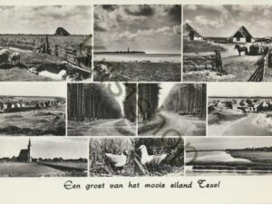Texel [001-5419