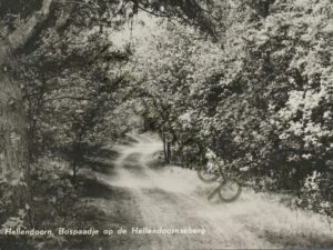 Hellendoorn - Bospaadje op de Hellendoornseberg [001-5522