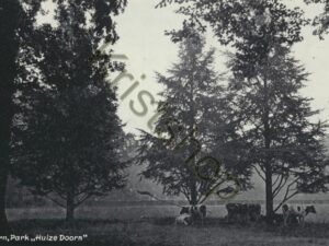 Doorn - Park Huize Doorn [001-5580