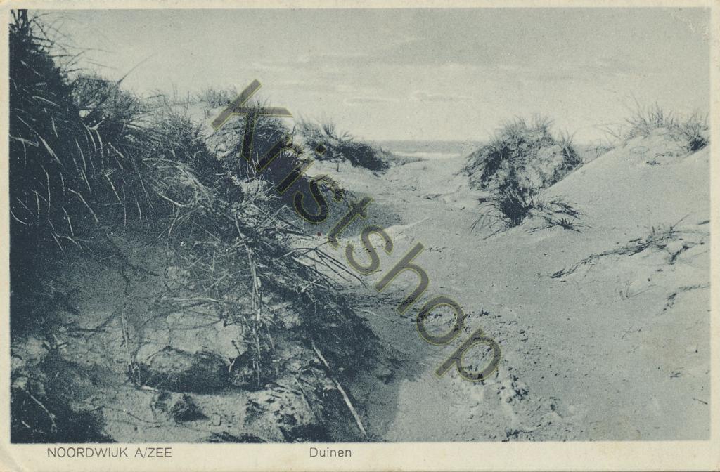 KRST001-5584_0.jpg Noordwijk aan Zee - Duinen [001-5584