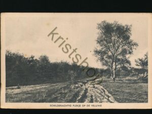 Veluwe - Schilderachtig plakje [001-5766