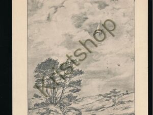 HolLandschap naar George Schulein [001-6270