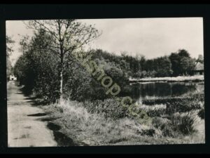 Bakkeveen - Langs het Ven [002-0010