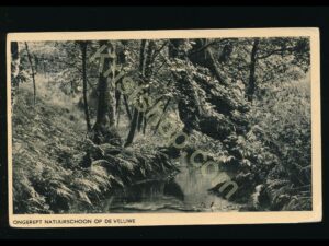 De Veluwe [002-0028
