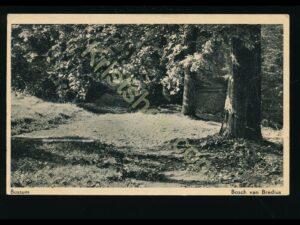 Bussum - Bosch van Bredius [002-0043