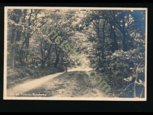 De Veluwe - Boschweg [002-0059