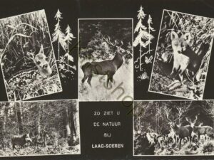 Laag-Soeren [002-0522