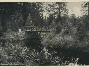 Zeist - Bruggetje in Bosch [002-0526