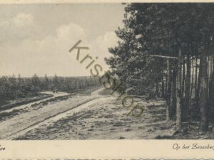 Epe - op het Zevenbergje [002-0532