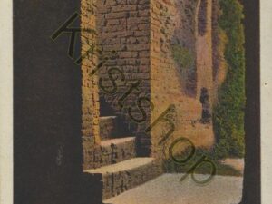 Santpoort - Ruïne van Brederode [002-0536