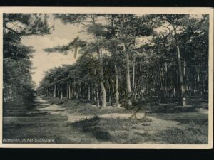 Bilthoven - In het Oosterpark [002-0631