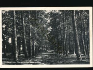 Doetinchem - Bosgezicht Slangenburgh [002-0648
