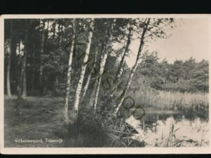 Treeswijk - Valkenswaard [002-0664
