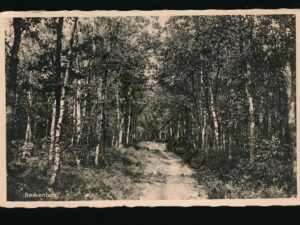 Berkenbos - Garderen - Vac-Oord CBPTT [002-0693