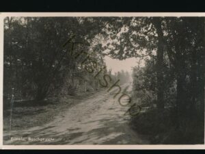 Ermelo - Boschgezicht [002-0748