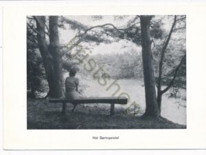 Ootmarsum - Het Springendal [002-0939