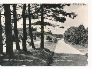 Bergen aan Zee - Zeeweg met rijwielpad [002-1082