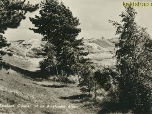Ameland [002-1142
